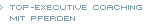 Coaching mit Pferden
