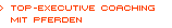 Coaching mit Pferden